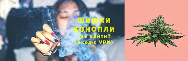 трава Алзамай
