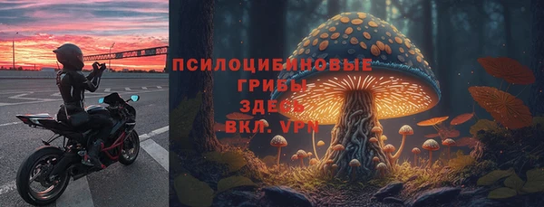 spice Алексин